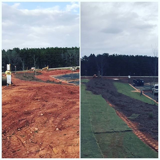Commercial Landscaping