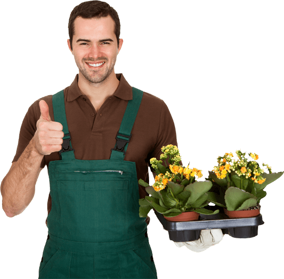 gardener