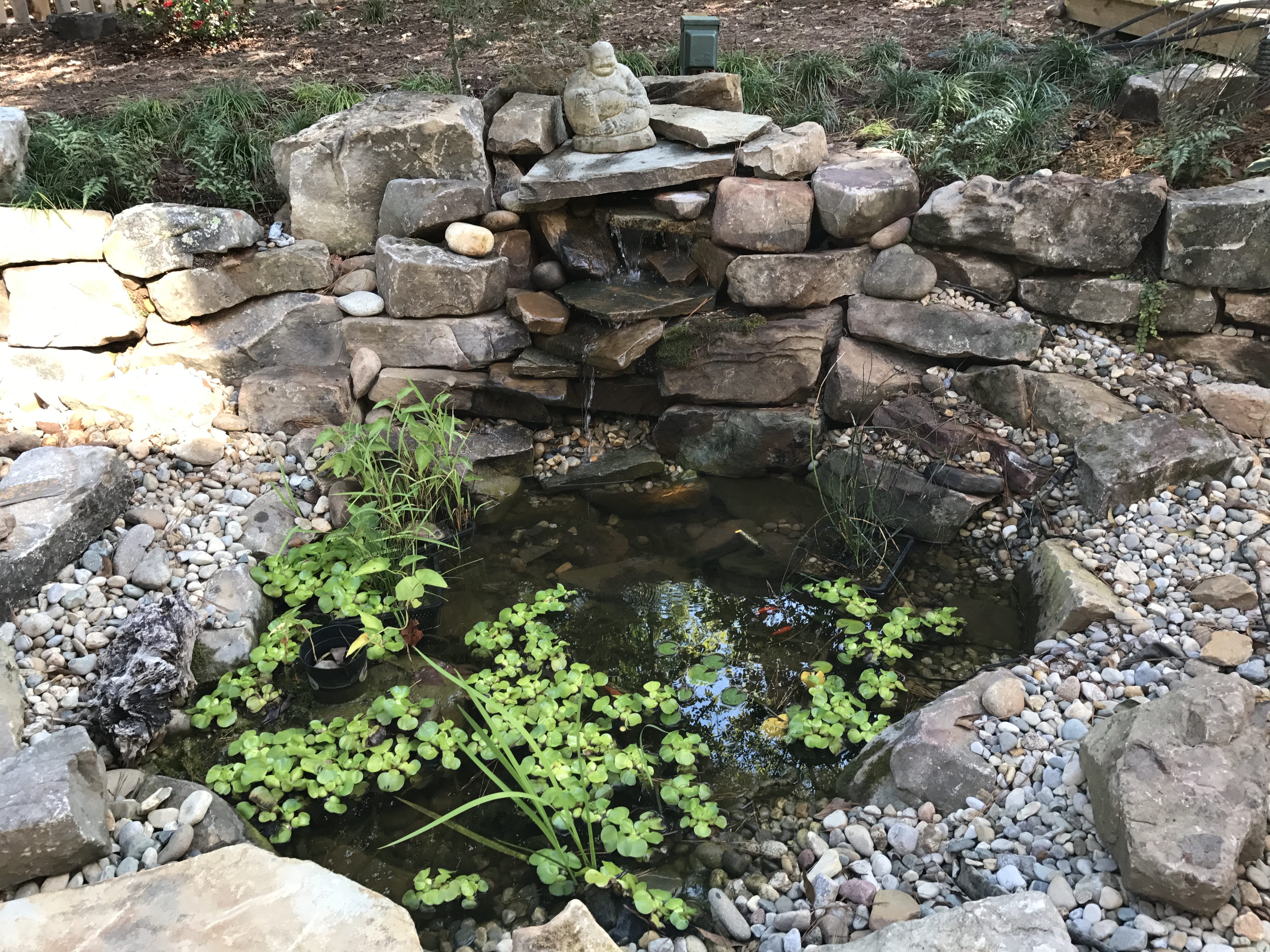 Fountains, Falls, and More
