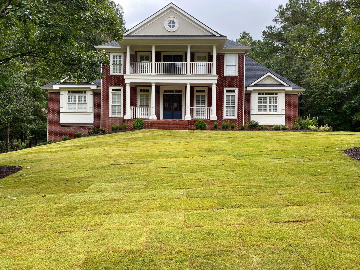 Front Yard Replacement