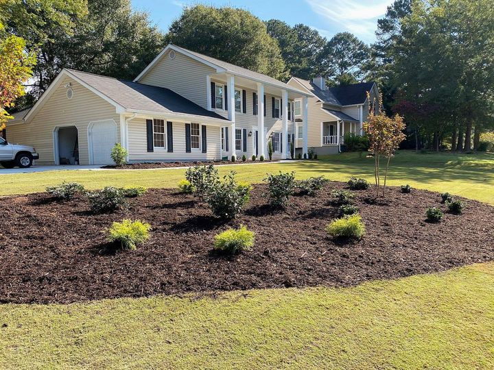 Bermuda Sod