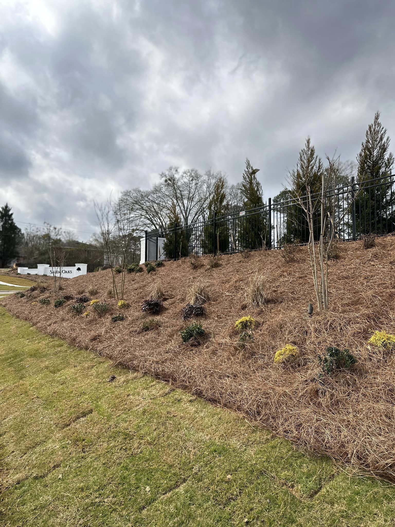 Commercial Landscaping with All South Lawnscapes