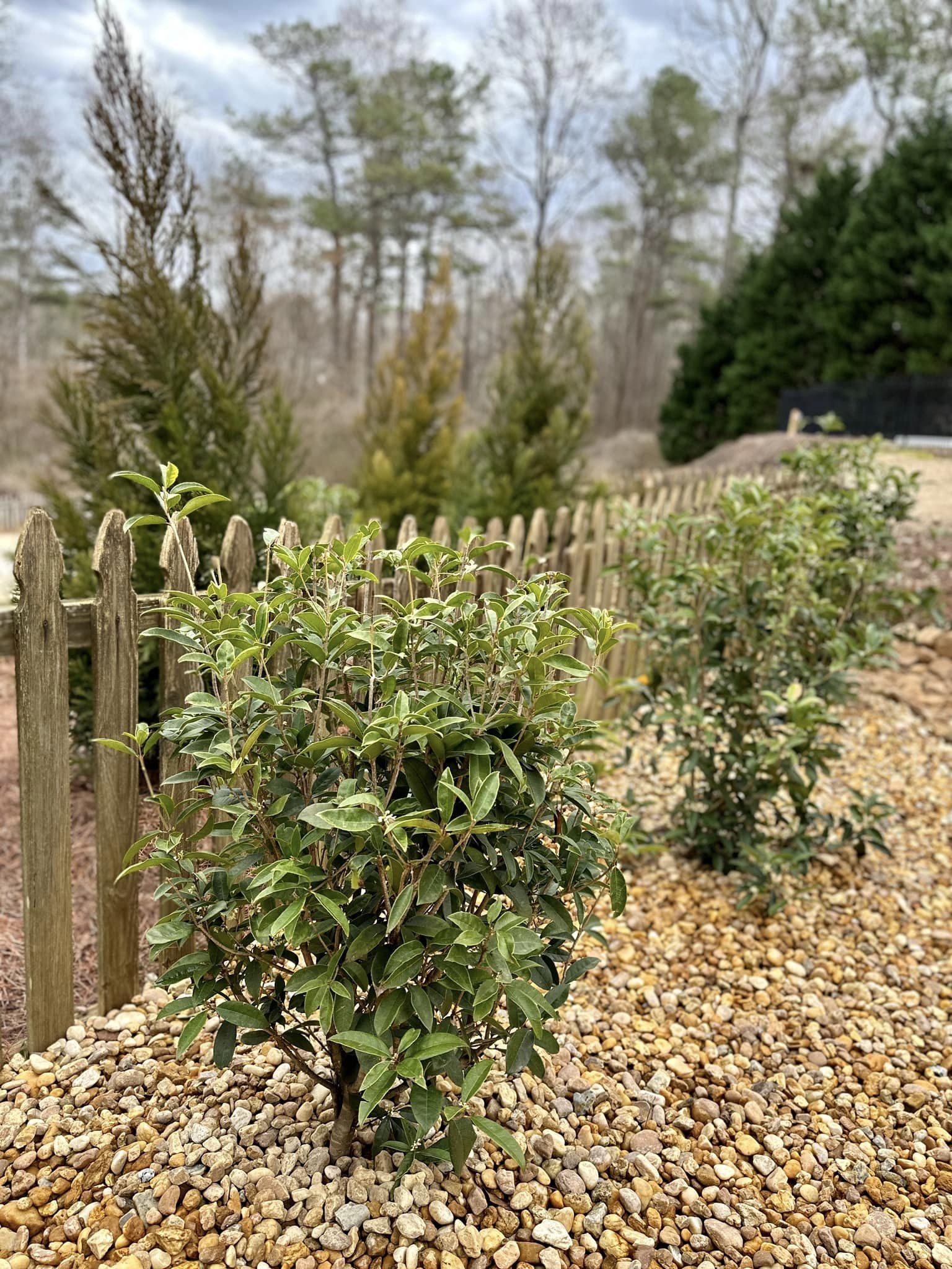 resolve drainage issues with All South Lawnscapes